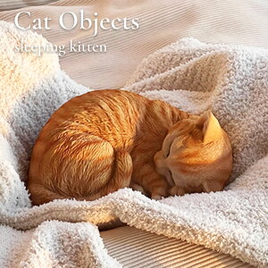 L̒u CeA ˂ IuWF I[ig LObY ˂ Lbg ՔL 킢   G u Mtg v[g rO _CjO  GgX K[f