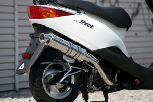 yYz }n ANVXg[g 125 (EBJ-SE53J XC125E ) 2009N`2015NfΉ Realize (ACY) uN XeX }t[ t JX^ p[c AXIS Treet SE53J XC125E