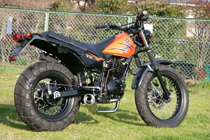 y[J[ HMS z }n TW200 / TW225 (BA-DGO7J/BA-DG09J) 2000N`2007NfΉ 100ӖCe Type3XeX }t[ GLpC 3Ȃ JX^ oCN p[c TW DG07J DG09J