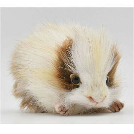 ハンサ【HANSA】リアルぬいぐるみテンジクネズミ15 モルモット