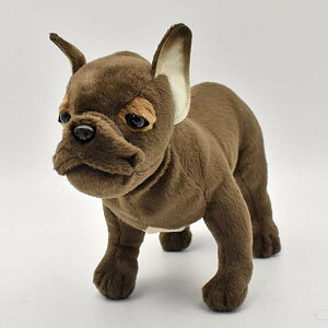 nTyHANSAzAʂ݃t`uhbO 26