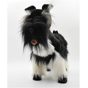 nTyHANSAzAʂ ~j`AViEU[ 