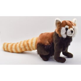 ハンサ【HANSA】リアルぬいぐるみレッドパンダ69cm レッサーパンダ