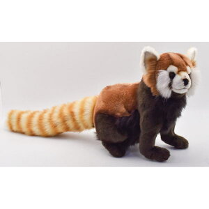 nTyHANSAzAʂ݃bhp_69cm bT[p_