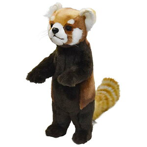 nTyHANSAzAʂ݃bhp_37 bT[p_