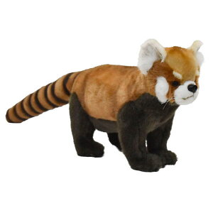 nTyHANSAzAʂ݃bhp_ 67cm bT[p_