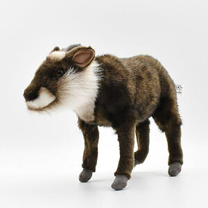 nTyHANSAzAʂ݃jzJVJ32 { VRLO