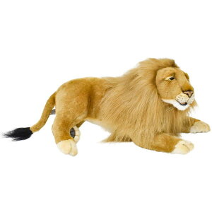 nTyHANSAzAʂ IXCI48 Sb̉