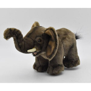 nTyHANSAzAʂ݃AtJ]E23