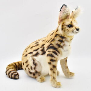 nTyHANSAzAʂ݃T[oLbg44 őȃf̌^ 炵p