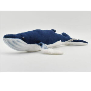 nTyHANSAzAʂ݃UgENW35