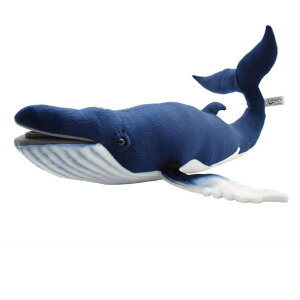 nTyHANSAzAʂ݃UgENW59