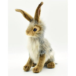 nTyHANSAzAʂ݃IOETM26 