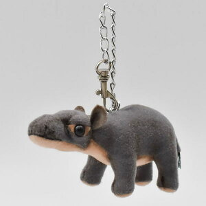 nTyHANSAzAʂ݃L[`F[ Jo