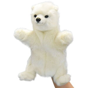 nTyHANSAzAʂ݃nhpybg zbLNO}31 kɂ F VN}