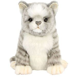 nTyHANSAzAʂ݃St tFAEFCEbhpwbhJo[ lR O[ CAT