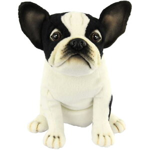 nTyHANSAzAʂ݃St tFAEFCEbhpwbhJo[ t`uhbO FRENCH BULLDOG