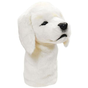 nTyHANSAzAʂ݃St hCo[pwbhJo[ }}