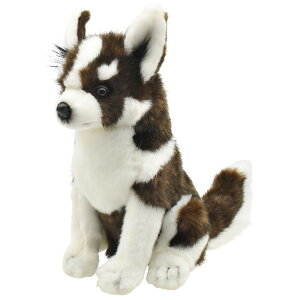 nTyHANSAzAʂ݃St tFAEFCEbhpwbhJo[ nXL[ SIBERIAN HUSKY 