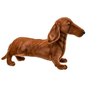 nTyHANSAzAʂ݃~j`A_bNXth56 F uE