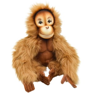 nTyHANSAzAʂ IE[^20 ORANGUTAN I[XgA uh hansa 킢 f JXj j aj