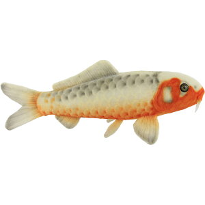 nTyHANSAzAʂ ь  35 KOI Ϗ܋