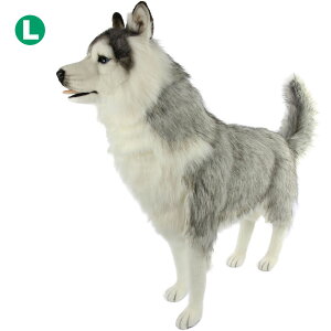 nTyHANSAzAʂ VxAEnXL[ O[ 115 SIBERIAN HUSKY lC 