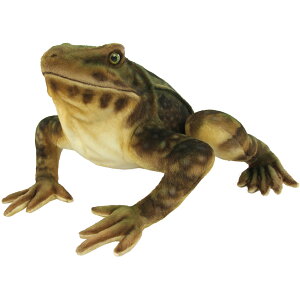 nTyHANSAzAʂ SCAXKG 35 GOLIATH FROG Eő JG ^ N