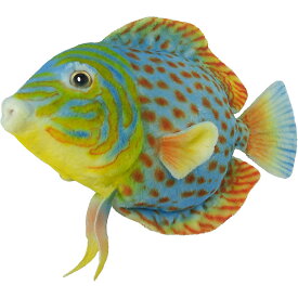 ハンサ【HANSA】リアルアニマル ぬいぐるみ ディスカス 28 DISCUS FISH お魚さん さかな 熱帯魚