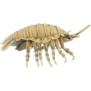 nTyHANSAzAʂ _CIEO\NV 37 GIANT ISOPOD