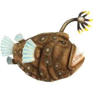 nTyHANSAzAʂ `E`ARE 40 FOOTBALL FISH [C