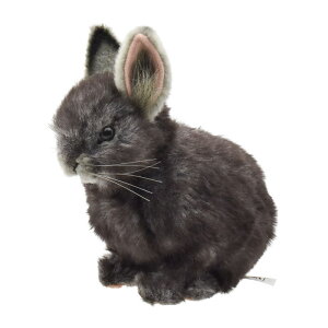 nTyHANSAzAʂ sO~[ETM O[ 18 PYGMY RABBIT I[XgA uh hansa 킢 f JXj j aj rbg  e