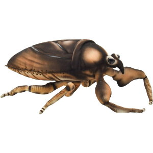 nTyHANSAzAʂ ^K 42 GIANT WATER BUG  ނ 傫TCY