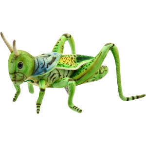 nTyHANSAzAʂ ob^ O[ 27 GRASSHOPPER  傫TCY