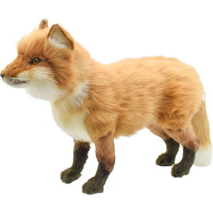 �n���T �yHANSA�z ���A���A�j�}�� �ʂ������ �A�J�M�c�l 50 RED FOX �I�[�X�g�����A �u�����h hansa ���킢�� �f���� �J�X�j�� ���j�� �a�����j��