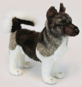 nTyHANSAzAʂ Hc28cm I[XgA uh hansa 킢 f JXj j aj