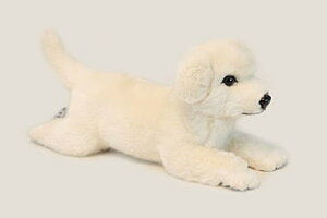 nTyHANSAzAʂ q42cm  RCk