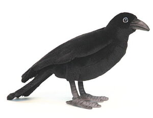 ぬいぐるみ カラスの人気商品 通販 価格比較 価格 Com