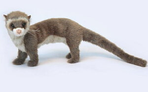 nTyHANSAzAʂ݃tFbg 56cm