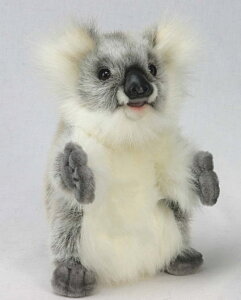 nTyHANSAzAʂݐԂRA 24cm