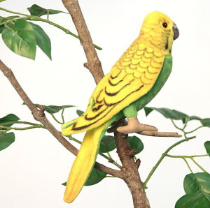 nTyHANSAzAʂ݃O[ZLZC@CR 21cm