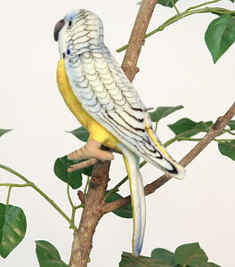 nTyHANSAzAʂ݃u[ZLZC@CR 21cm