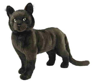 nTyHANSAzAʂ NlR37cm ˂ L