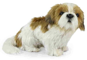 nTyHANSAzAʂ V[Y[30cm