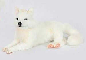 nTyHANSAzAʂݔLcl 60cm