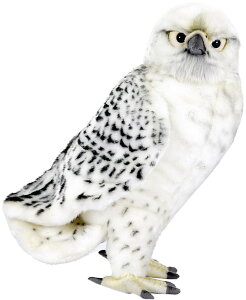 nTyHANSAzAʂݔnuT35cm