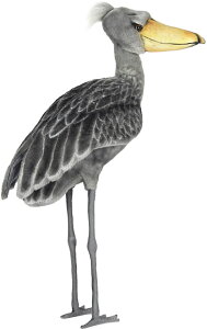 nTyHANSAzAʂ݃nVrRE59cm