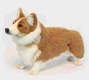 nTyHANSAzAʂ݃EFVR[M[50cm