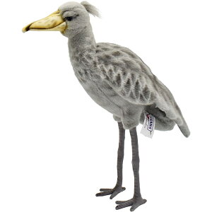 nTyHANSAzAʂ݃nVrRE35cm