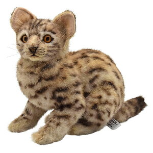 nTyHANSAzAʂ݃xK}lRqÊ悤ɔACGlR̂悤Ɉ炵